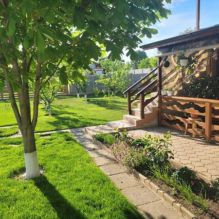 Hotel Casa Viviana Baia Zewnętrze zdjęcie